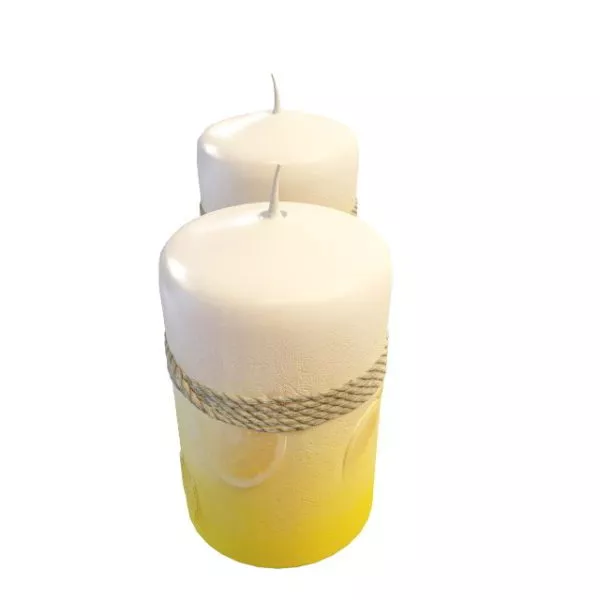 Ws Candle Lighting 3d model