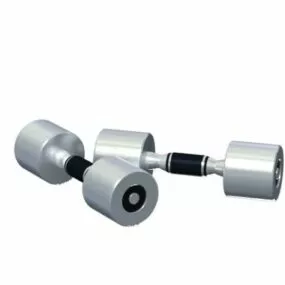 Chrome Steel Gym Dumbbells 3d model
