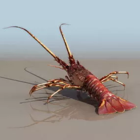 Sea Clawed Lobster 3d model