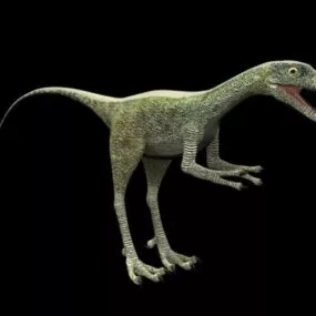 Wild Compsognathus Dinosaur 3d model