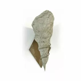 Conch Shape Interior Wall Lamp 3d model