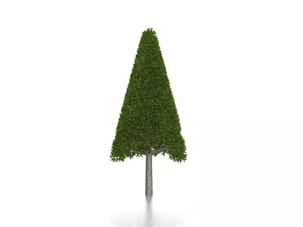 Cone Shape Topiary Plant 3d model Cone Shape Topiary Plant 3d model