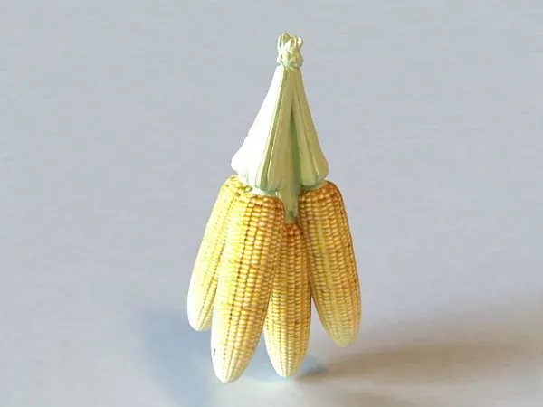 Food Corn Cobs 3d model Food Corn Cobs 3d model
