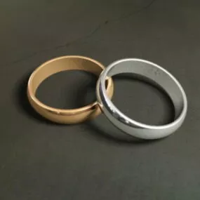 Jewelry Couple Rings 3d model