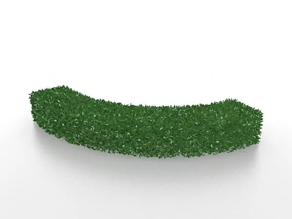Bush Hedge 3d model