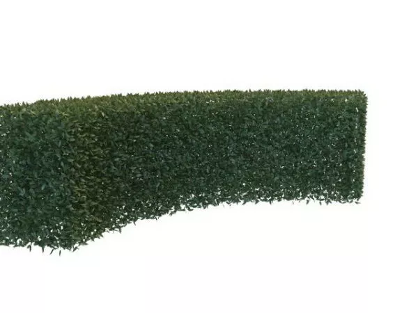 Curved Hedge Garden Decoration 3d model Curved Hedge Garden Decoration 3d model