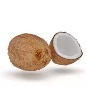 Cut Open Coconut Fruit 3d model