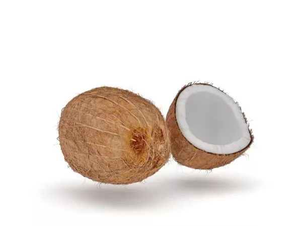 Tall Coconut Tree 3d model