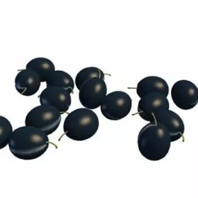 Damson Plums Plant 3d model