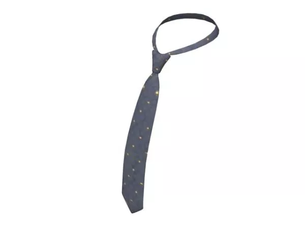 Blue Tie 3d model Blue Tie 3d model