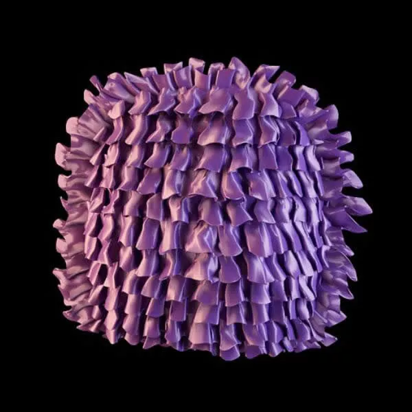 Purple Home Pleated Cushion 3d model Purple Home Pleated Cushion 3d model