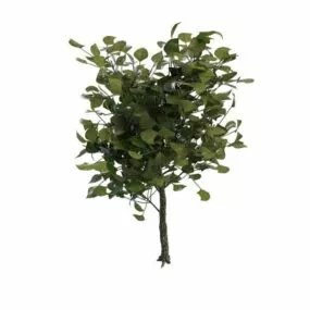 Decorative Landscape Tree 3d model