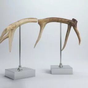 Deer Antlers Decor 3d model