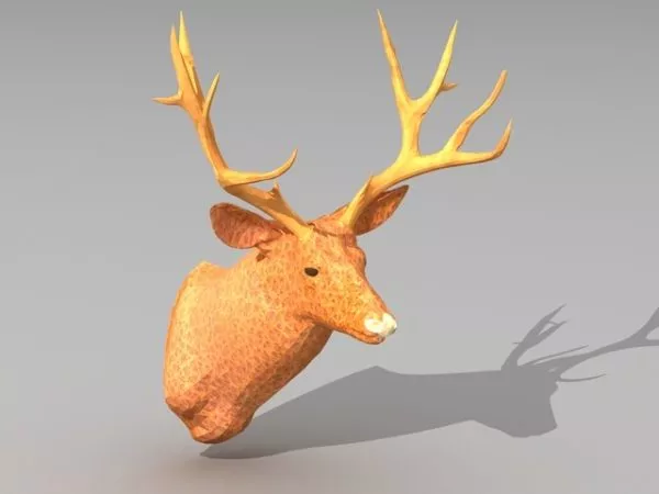 Aged Man Head 3d model