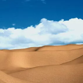 Desert Landscape Scene 3d model