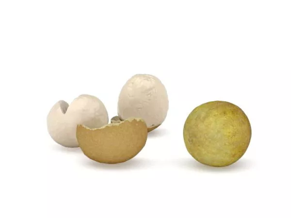 Set Of Lemon Fruit On Basket 3d model