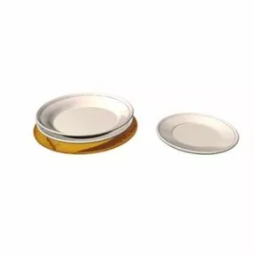 Dinner Plate On Desk 3d model