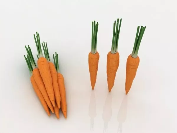 Domestic Carrots Vegetable 3d model Domestic Carrots Vegetable 3d model