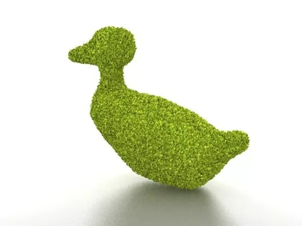 Garden Green Duck Topiary 3d model Garden Green Duck Topiary 3d model