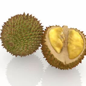 Tropical Durian Fruit 3d model