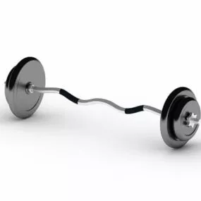 Ez Curl Bar Fitness Equipment 3d model
