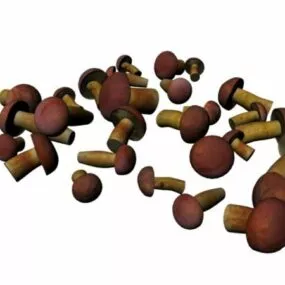 Fresh Edible Boletus Mushroom 3d model
