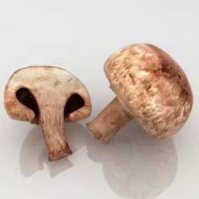 Mushroom 3d model