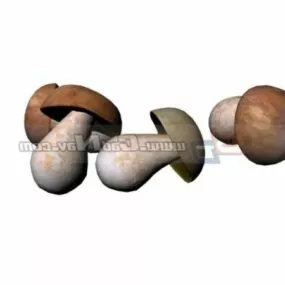Nature Edible Mushrooms 3d model