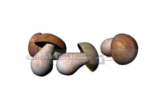 Nature Edible Mushrooms 3d model Nature Edible Mushrooms 3d model