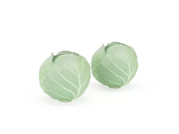 White Radish Carrot 3d model