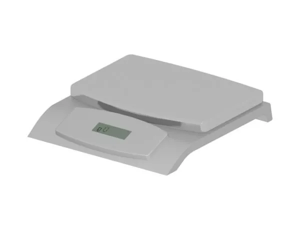 Chinese Ruan Instrument 3d model
