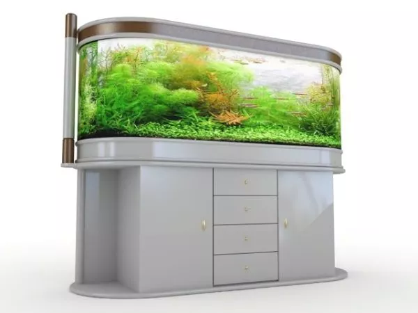 Aquarium With Terrain Under Water 3d model