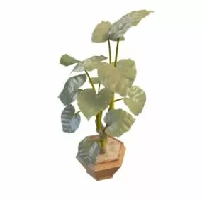 Potted Elephant Ear Plant 3d model