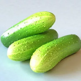 Vegetables Cucumbers 3d model