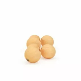 English Onions Vegetable 3d model