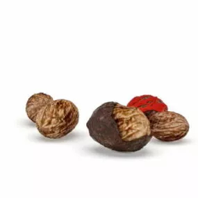 English Walnut Fruit 3d model
