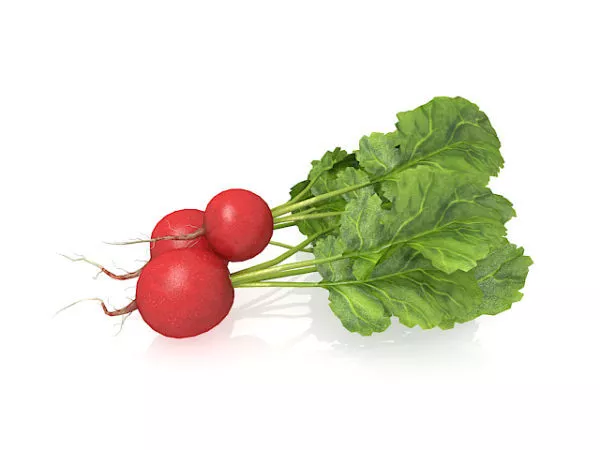 Green Cucumber V1 3d model