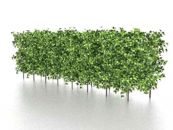 Cylinder Hedges 3d model