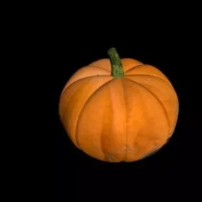 Food Fall Pumpkin 3d model
