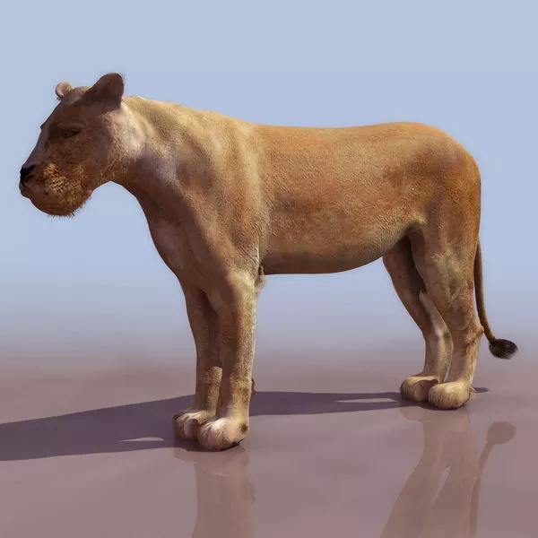 Lion Animal 3d model