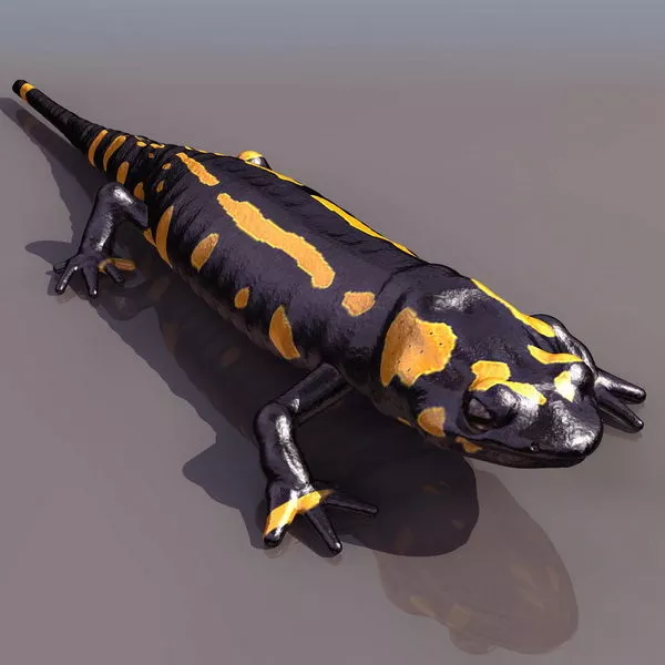 Campfire 3d model