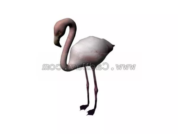 Wild Flamingo Animal 3d model Wild Flamingo Animal 3d model