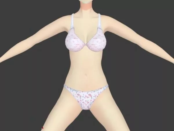 Floral Bra And Panty Fashion 3d model Floral Bra And Panty Fashion 3d model