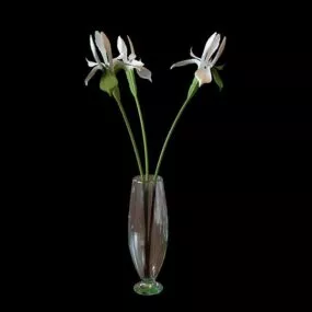 Flower In Porcelain Vase 3d model