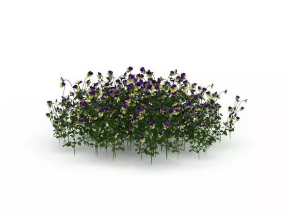 Outdoor Garden Flower Plants 3d model Outdoor Garden Flower Plants 3d model