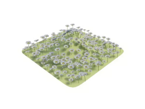 Garden Flower Grass Piece 3d model Garden Flower Grass Piece 3d model