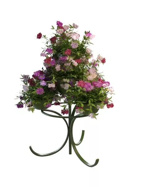 Planter Box Decorative 3d model