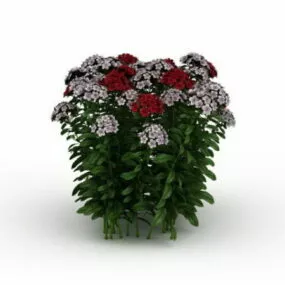 Garden Flowering Shrubs 3d model