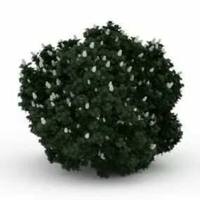 Landscape Garden Flowering Shrubs 3d model