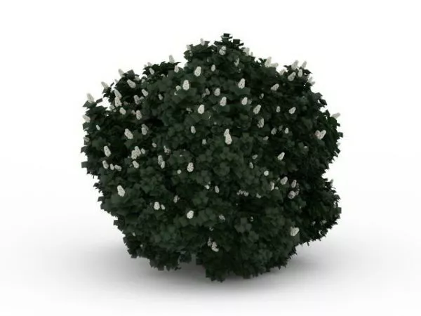 Flower Shrub Night Scene 3d model